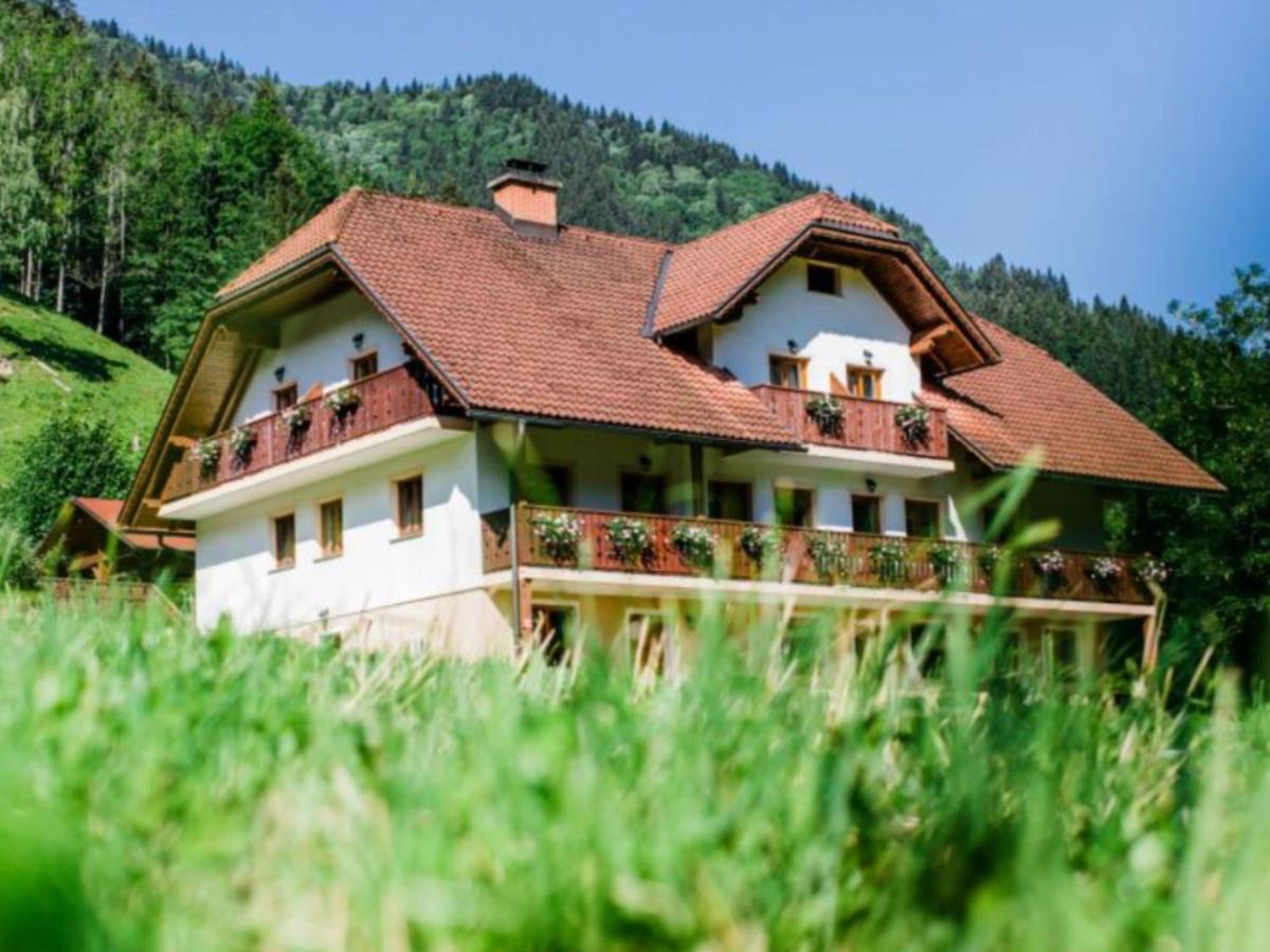 Na Logu - Farm Stay Ambroz Gregorc Solcava Ngoại thất bức ảnh