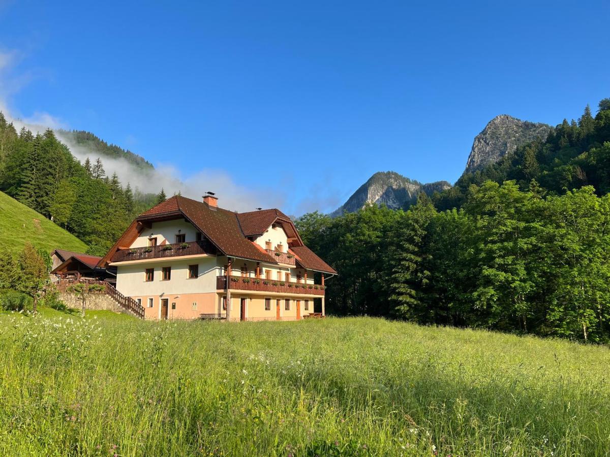 Na Logu - Farm Stay Ambroz Gregorc Solcava Ngoại thất bức ảnh