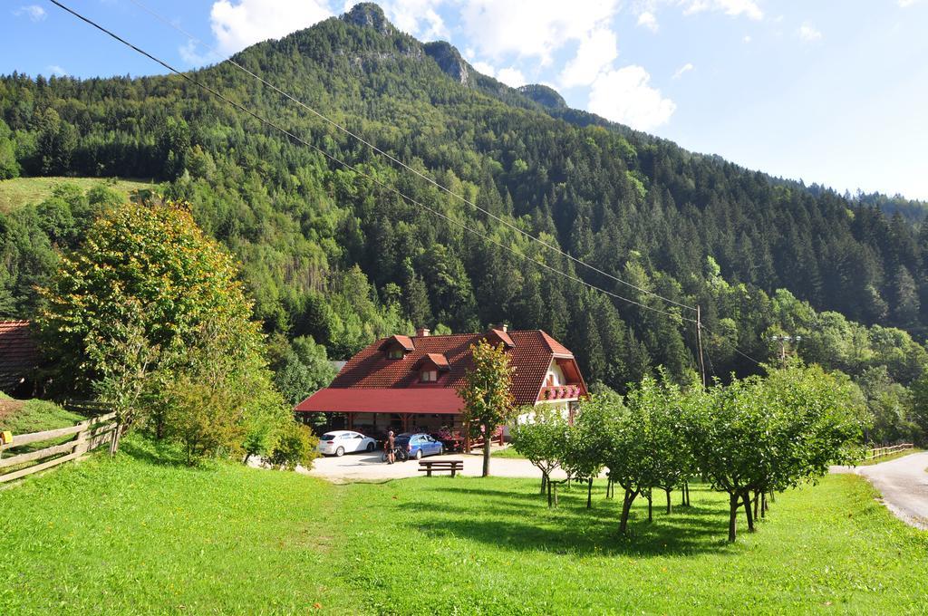 Na Logu - Farm Stay Ambroz Gregorc Solcava Ngoại thất bức ảnh