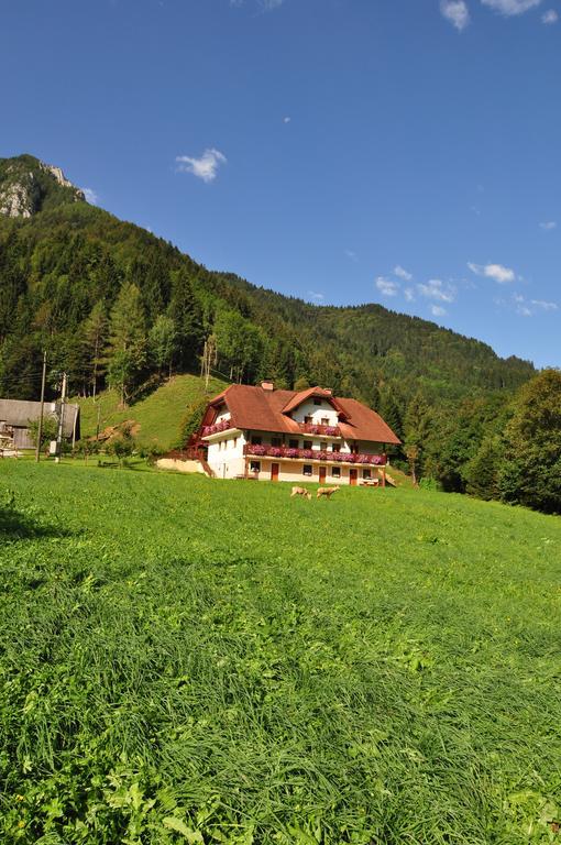 Na Logu - Farm Stay Ambroz Gregorc Solcava Ngoại thất bức ảnh