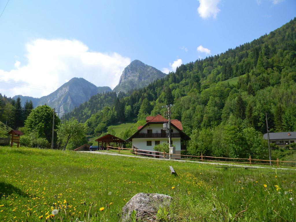 Na Logu - Farm Stay Ambroz Gregorc Solcava Ngoại thất bức ảnh