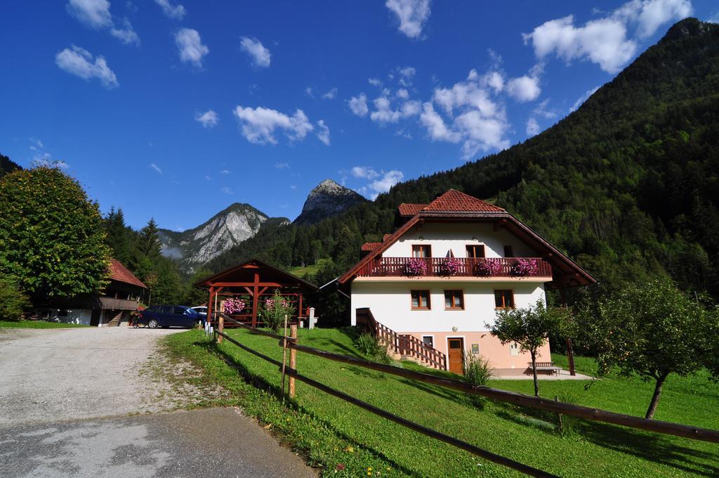Na Logu - Farm Stay Ambroz Gregorc Solcava Ngoại thất bức ảnh